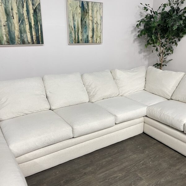 Living Spaces Delano Sectional - Image 5