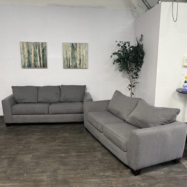 Gray Matching Couch Set