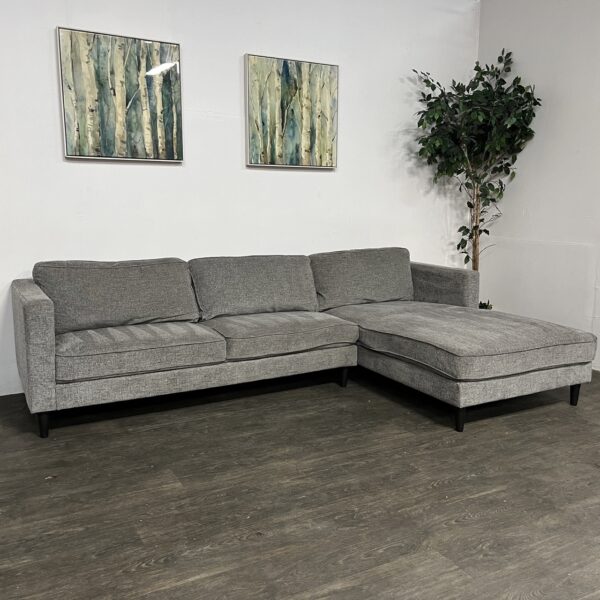 Living Spaces Gray Sectional