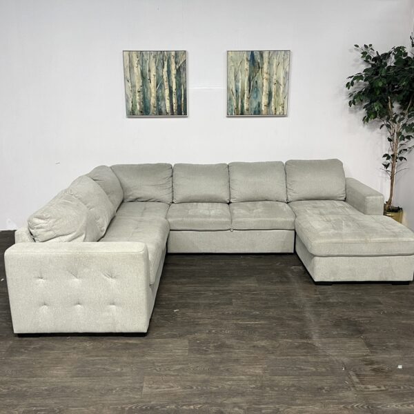3 Piece Sectional Couch w/ Pullout
